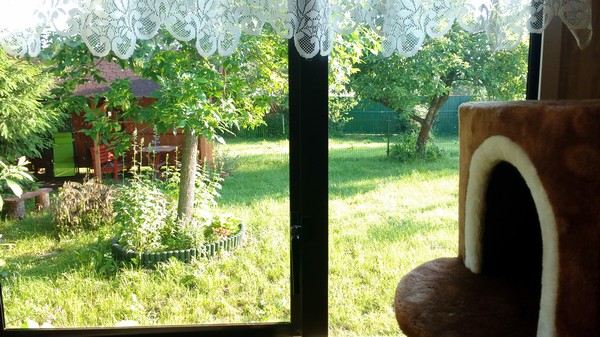 Pies i kot na wakacjach ma swój pokój w apartamencie noclegowym w Zwierzyńcu - wakacje z pupilem.